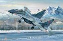 MIG-29UB Fulcrum Trumpeter