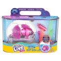 Figurka Little Live Pets Pływająca rybka z akwarium Cobi