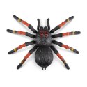 Wielka Tarantula Robo Alive