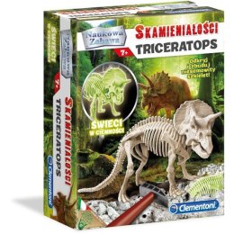 Skamieniałości Triceratops Clementoni