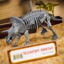 Zestaw naukowy Im a Genius Laboratorium paleontologii Lisciani