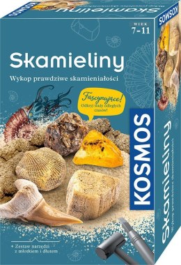 Zestaw Archeologiczny Skamieliny Piatnik