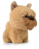 Teddy Pets - Maskotka Griffon Bruxellois