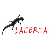 Lacerta